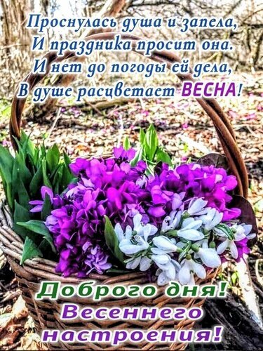 Весенняя открытка с корзиной цветов и стихами. Пожелание доброго дня и весеннего настроения. Идеально для поздравлений в соцсетях и мессенджерах. Открытка Доброго дня, весеннего настроения!