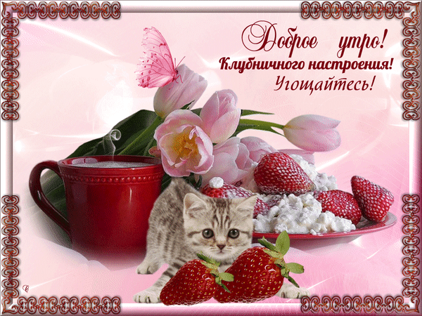 Открытка «Доброе утро! Клубничного настроения!». На картинке: котенок, розовые тюльпаны, клубника и чашка чая на нежном розовом фоне. С добрыми пожеланиями! Анимированная открытка доброе утро
