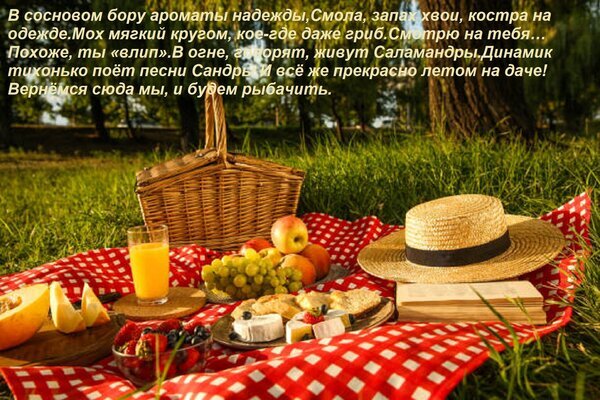 Уютный летний пикник на траве: корзина, фрукты, сок и соломенная шляпа на красной скатерти. Атмосфера безмятежного отдыха на природе и даче. Открытка В сосновом бору ароматы надежды, Смола, запах хвои, костра на одежде. Мох мягкий кругом, кое-где даж