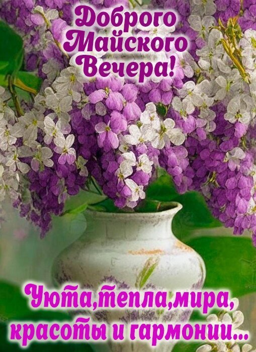 Открытка «Доброго Майского Вечера!» с пышным букетом сирени. Пожелания уюта, тепла, мира, красоты и гармонии. Красивое весеннее поздравление для близких. Открытка Доброго майского вечера