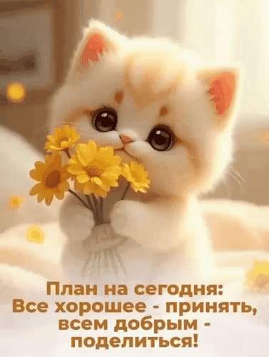 Милый котенок с желтыми цветами и мотивирующая цитата: План на сегодня: Все хорошее — принять, всем добрым — поделиться!. Добрая картинка для настроения. Анимированная открытка План на сегодня: все хорошее - принять, всем добрым - поделиться! Милый котенок с желтыми цветами и мотивирующая цитата: План на сегодня: Все хорошее — принять, всем добрым — поделиться!. Добрая картинка для настроения. Анимированная открытка План на сегодня: все хорошее - принять, всем добрым - поделиться!