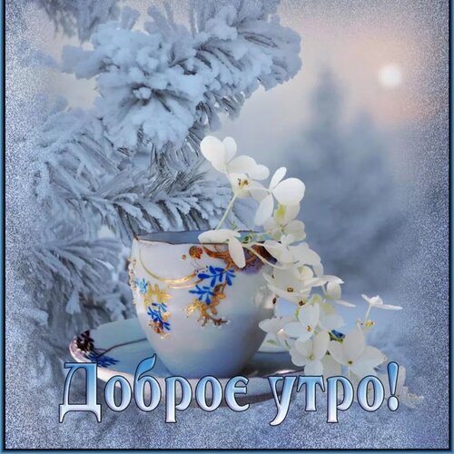 Зимняя открытка «Доброе утро!»: изящная чашка с белыми цветами на фоне заснеженных елей. Уютное изображение для теплых утренних пожеланий. Открытка Доброе утро! Зимняя открытка «Доброе утро!»: изящная чашка с белыми цветами на фоне заснеженных елей. Уютное изображение для теплых утренних пожеланий. Открытка Доброе утро!