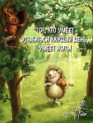Сказочная картинка с ежиком-скрипачом и вдохновляющей цитатой: Тот, кто умеет улыбаться каждый день, умеет жить!. Теплая лесная атмосфера и позитив. Открытка Улыбаешься умеешь жить