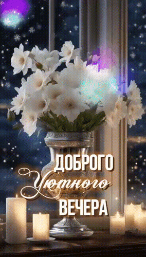 Открытка «Доброго уютного вечера» с букетом белых цветов, свечами и зимним пейзажем. Красивое изображение для душевного поздравления в мессенджерах. Анимированная открытка Добрый, вечер!