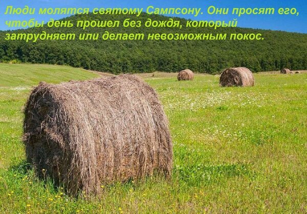 Летний пейзаж с тюками сена на поле и лесом. Текст о молитвах святому Самсону о сухой погоде для сенокоса. Сельскохозяйственная тематика и природа. Открытка Люди молятся святому Сампсону. Они просят его, чтобы день прошел без дождя, который затрудняет или д