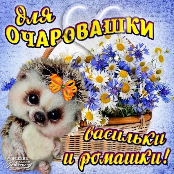 Милая открытка с ежиком, оранжевым бантиком и букетом полевых цветов (ромашки и васильки). Надпись: Для очаровашки, васильки и ромашки!. Пожелание радости. Открытка Для очаровашки васильки и ромашки!