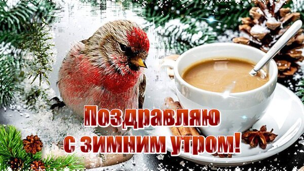 Уютная зимняя открытка: пушистая птичка и чашка горячего кофе на фоне снега и еловых веток. Надпись: Поздравляю с зимним утром! Открытка Доброго утра!