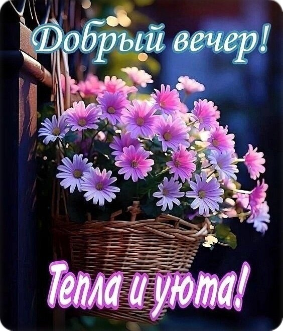 Открытка «Добрый вечер! Тепла и уюта!» с нежными розовыми цветами в корзине. Красивое пожелание приятного и уютного вечера для друзей и близких. Открытка Добрый вечер! Тепла и уюта! Открытка «Добрый вечер! Тепла и уюта!» с нежными розовыми цветами в корзине. Красивое пожелание приятного и уютного вечера для друзей и близких. Открытка Добрый вечер! Тепла и уюта!