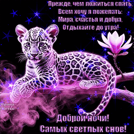 Милая открытка «Доброй ночи» с розовым леопардом, звездами и цветами. Красивое пожелание светлых снов и добра на картинке для отправки близким. Анимированная открытка Доброй ночи!