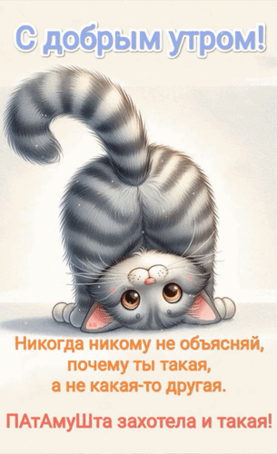 Милая открытка «С добрым утром!» с забавным котенком и ироничной цитатой для хорошего настроения. Идеально для WhatsApp и соцсетей. Анимированная открытка С добрым утром! Никогда никому не объясняй, почему ты такая, а не какая-то другая. ПАтАмуШта захотела...