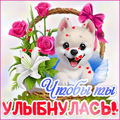 Милая открытка с белым щенком, розами и лилиями. Надпись: «Чтобы ты улыбнулась!». Идеально для поднятия настроения и приятного сюрприза! Анимированная открытка Чтобы ты улыбнулась!