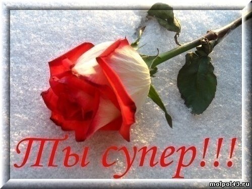 Красивая открытка с красной розой на снегу и надписью «Ты супер!!!». Идеально для комплимента и зимних пожеланий близким. Открытка Ты супер! ты супер