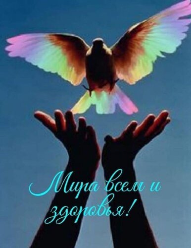Красивое изображение летящего голубя и поднятых рук с надписью «Мира всем и здоровья!». Символ надежды, спокойствия и добрых пожеланий на голубом небе. Открытка Мира всем и здоровья!