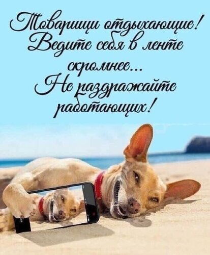 Смешной мем: собака на пляже делает селфи. Текст: «Товарищи отдыхающие! Ведите себя скромнее... Не раздражайте работающих!». Юмор про работу и отпуск. Открытка Товарищи отдыхающие скромнее