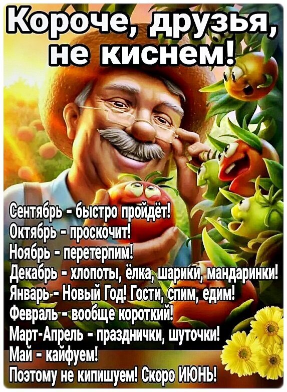Позитивный мем с календарем месяцев: как не киснуть с сентября по июнь. Мотивация и оптимизм на каждый месяц года для хорошего настроения. Открытка Короче, друзья, не киснем!