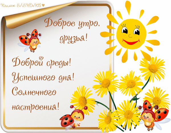 Позитивная открытка на среду: доброе утро, друзья! Солнце, цветы и божьи коровки. Пожелание успешного дня и солнечного настроения. Анимированная открытка Добро