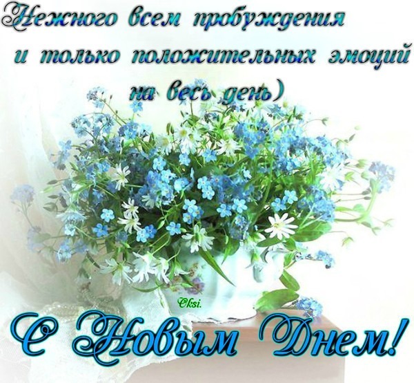 Доброе утро! Красивая открытка с нежными голубыми незабудками и пожеланием позитивных эмоций на весь день. Идеально для поздравления с новым днем! Открытка С Новым Днем!