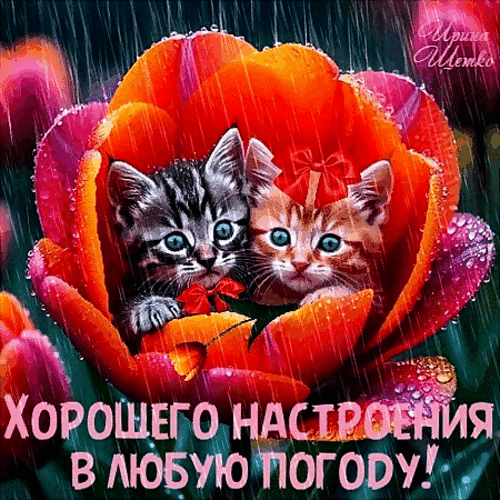 Милые котята в цветке тюльпана. Открытка с надписью «Хорошего настроения в любую погоду!». Добрая и яркая картинка для пожеланий и поднятия настроения. Анимированная открытка Хорошего настроения в любую погоду!