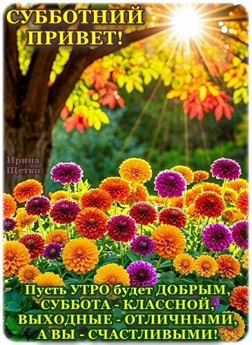 Яркая открытка «Субботний привет!» с осенними цветами и пожеланием доброго утра, классной субботы и отличных выходных. Теплое поздравление для близких. Открытка Субботний привет Яркая открытка «Субботний привет!» с осенними цветами и пожеланием доброго утра, классной субботы и отличных выходных. Теплое поздравление для близких. Открытка Субботний привет