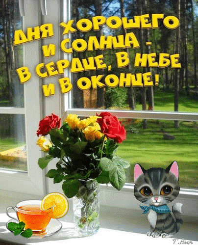 Красочная открытка с цветами, чаем и котенком. Пожелание хорошего дня и солнечного настроения. Идеально для доброго утреннего сообщения друзьям. Анимированная открытка УТРА Доброго, ДНЯ Хорошего И Солнца - В Сердце, В НЕБЕ И В Оконце!
