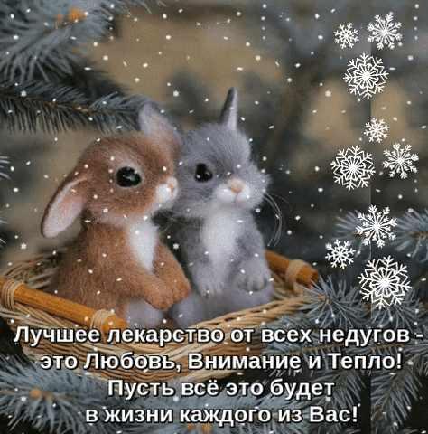Милая зимняя открытка с кроликами в корзинке и пожеланием любви, внимания и тепла. Праздничное изображение со снежинками для душевных поздравлений. Анимированная открытка Лучшее лекарство от всех дедугов-это любвь, внимание и тепло! Пусть это будет в жизни каждого!