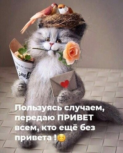 Милый котенок с птичками в гнезде и цветами дарит привет! Добрая открытка с текстом «Передаю ПРИВЕТ всем, кто еще без привет!» для соцсетей. Открытка Пользуясь случаем, передаю Привет всем, кто еще без привета!