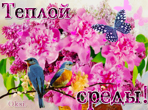 Поздравительная открытка «Теплой среды!»: нежные розовые цветы, синие птички и бабочка. Яркая весенняя картинка для хорошего настроения и пожеланий. Анимированная открытка Теплой среды! цветок