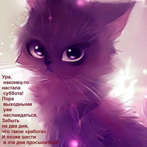 Милый фиолетовый котенок с надписью «Ура, наконец-то настала суббота!». Идеальная картинка-открытка для выходных, чтобы пожелать отдыха и хорошего сна. Открытка Ура, наконец-то настала суббота! Пора выходными уже наслаждаться, Забыть на два дня, что такое «рабо