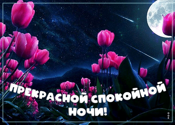 Красивая открытка «Прекрасной спокойной ночи!» с розовыми тюльпанами, полной луной и падающей звездой на ночном звездном небе. Идеально для пожелания доброй ночи. Анимированная открытка Прекрасной Спокойной НОЧИ!