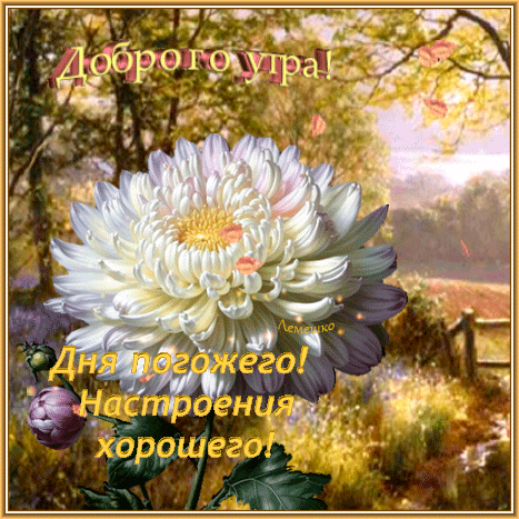 Открытка «Доброго утра!» с пышным цветком на фоне осеннего пейзажа. Пожелание хорошего дня и отличного настроения для близких и друзей. Анимированная открытка Доброго утра! Дня погожего! Настроения хорошего!