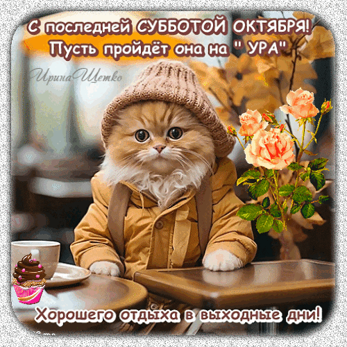 Милый рыжий кот в шапке поздравляет с последней субботой октября. Уютная осенняя открытка с пожеланием хороших выходных и отличного отдыха! Анимированная открытка С последней Субботой Октября!, Пусть пройдет она на УРА, Хорошего отдыха в выходные дни!