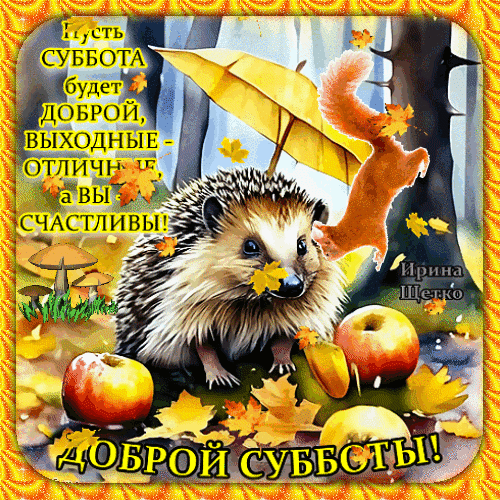 Красивая осенняя открытка с ежиком и белкой. Надпись: «Пусть суббота будет доброй, выходные — отличными, а вы — счастливы!». Поздравление с субботой в уютном стиле. Анимированная открытка Доброй субботы! Красивая осенняя открытка с ежиком и белкой. Надпись: «Пусть суббота будет доброй, выходные — отличными, а вы — счастливы!». Поздравление с субботой в уютном стиле. Анимированная открытка Доброй субботы!
