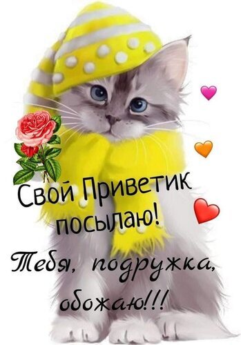 Милая открытка с котенком в желтом шарфе и шапке для подруги. Надпись: «Свой Приветик посылаю! Тебя, подружка, обожаю!!!». Идеально для доброго пожелания! Открытка Приветик, подружка!