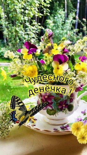 Яркая картинка с цветами, бабочкой и пчелой в чашке с надписью «Чудесного денечка!». Идеальное пожелание хорошего дня для соцсетей и мессенджеров. Открытка Чудесного денечка!