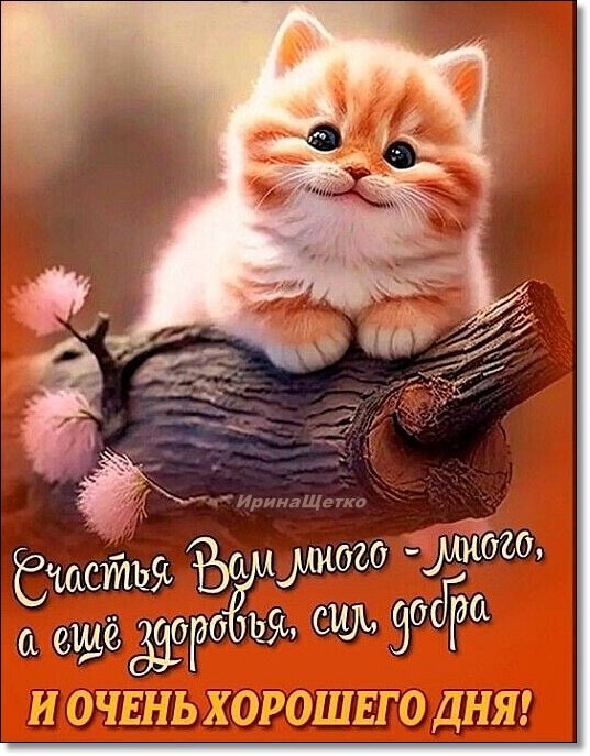 Милая открытка с рыжим котенком и пожеланиями счастья, здоровья, добра и хорошего дня. Идеально для позитивного настроения и добрых пожеланий! Открытка Еще здоровья, сил, Очень Хорошего ДНЯ!