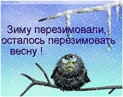 Смешная картинка с птичкой и текстом: Зиму перезимовали, осталось перезимовать весну!. Юмористическая иллюстрация для соцсетей и настроения. Анимированная открытка ... осталось перезимовать весну!