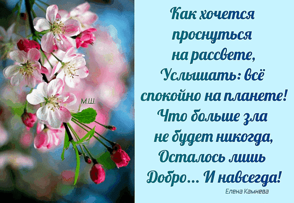 Вдохновляющая картинка с цветами и стихами Елены Камневой о мире и добре. Эстетичное изображение для пожеланий спокойствия и гармонии. Анимированная открытка Как хочется проснуться на рассвете...