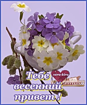 Весенняя открытка с букетом фиолетовых и белых примул и ветками вербы. Надпись: «Тебе весенний привет!». Идеально для поздравлений с весной. Открытка весенний приветик