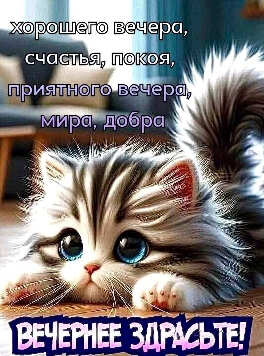 Милая открытка с котенком для пожелания доброго вечера. Текст: «хорошего вечера, счастья, покоя, мира, добра» и «Вечернее здрасьте!». Идеально для WhatsApp и соцсетей. Открытка Вечернее здрасьте