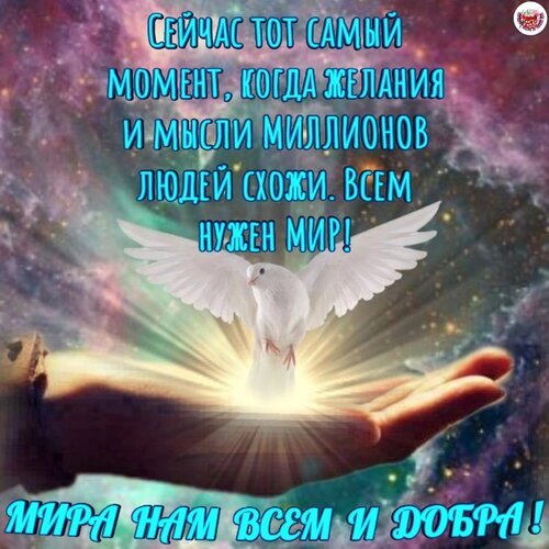 Картинка с белым голубем на фоне космоса и текста о необходимости мира и добра всем людям. Символ надежды, единства и духовного спокойствия. Открытка Всем нужен Мир! Мира нам всем и добра!