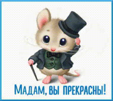 Милый мышонок-джентльмен в цилиндре и костюме с надписью «Мадам, вы прекрасны!». Очаровательная открытка для комплимента и выражения восхищения. Анимированная открытка Мадам, вы прекрасны!