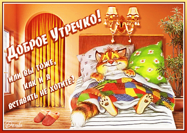 Доброе утро! Забавная открытка со спящим котом: Доброе утречко! Или вы тоже, как и я, вставать не хотите?. Идеально для позитивного начала дня! Анимированная открытка Доброго Утречка!