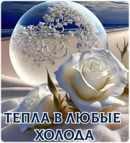 Нежная белая роза и стеклянный шар на фоне моря. Картинка с надписью «Тепла в любые холода» для душевных пожеланий и открыток. Открытка Тепла в любые холода