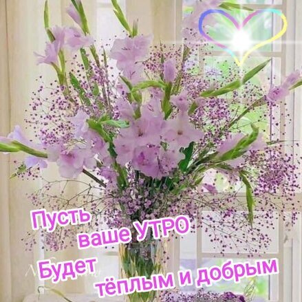 Букет розовых гладиолусов с пожеланием доброго утра. Нежная цветочная открытка с текстом «Пусть ваше УТРО будет теплым и добрым» и сияющим сердцем. Открытка Пусть утро будет теплым и добрым.