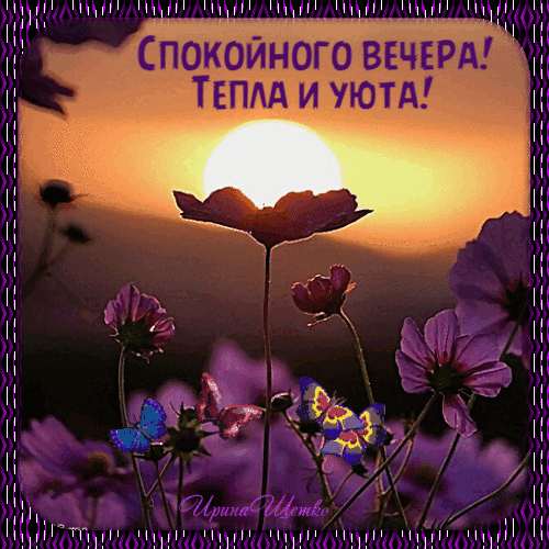 Открытка «Спокойного вечера! Тепла и уюта!» с закатом, цветами и бабочками. Красивое пожелание доброго вечера для WhatsApp и соцсетей. Анимированная открытка Спокойного вечера! Тепла и уюта!
