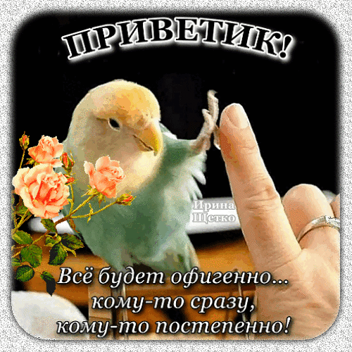 Милая открытка «Приветик!» с голубями, розами и мотивирующей фразой: «Все будет офигенно!». Позитивное пожелание для настроения в соцсетях. Анимированная открытка Приветик!