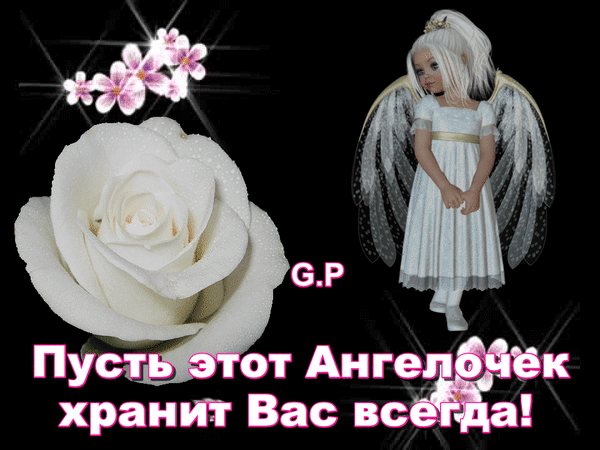Милая открытка с ангелом, белой розой и надписью «Пусть этот Ангелочек хранит Вас всегда!». Красивое пожелание и вдохновляющая картинка на темном фоне. Анимированная открытка Пусть ангел хранит тебя!