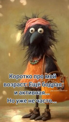 Смешная картинка-мем про возраст: «Еще бодрая и активная... Но уже не часто...». Ироничный юмор про взросление и жизненную энергию. Открытка Бодрая активная но уже не часто