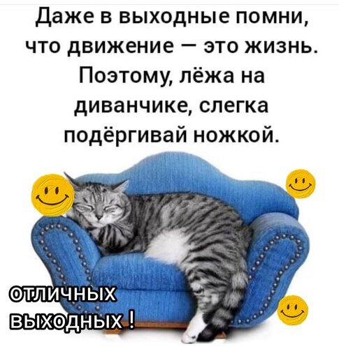 Смешной мем с котом на диване и пожеланием отличных выходных. Юмористическая картинка для поднятия настроения и отправки друзьям в соцсетях. Открытка Даже в выходные помни, что движение - это жизнь.