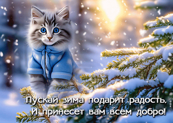 Милый котенок в голубом на фоне зимнего леса с надписью Пускай зима подарит радость, И принесет вам всем добро!. Красивая зимняя открытка. Анимированная открытка Пускай зима подарит радость Милый котенок в голубом на фоне зимнего леса с надписью Пускай зима подарит радость, И принесет вам всем добро!. Красивая зимняя открытка. Анимированная открытка Пускай зима подарит радость